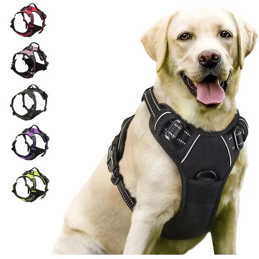 Stylish Leather Pup Set