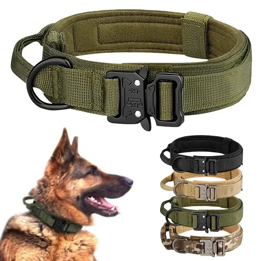 Tactical Dog Collar with Style
