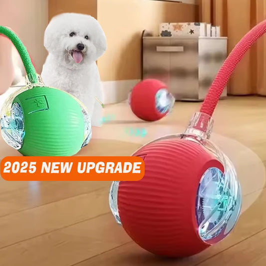 Smart Dog Rolling Ball