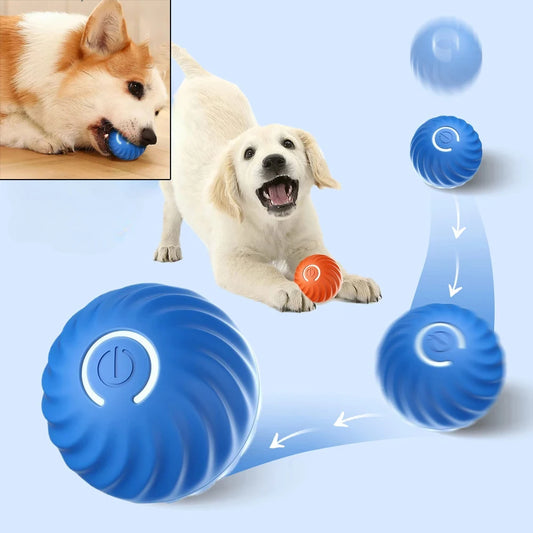 Smart Puppy Play Ball
